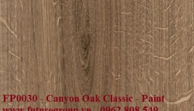 Sàn gỗ công nghiệp Floorpan FP30_Canyon Oak Classic AC4 - 8